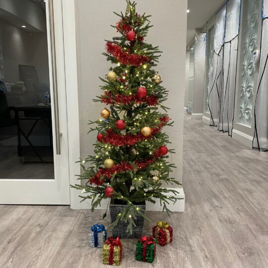 Smile Gallery 8 Christmas 2022 Celebration